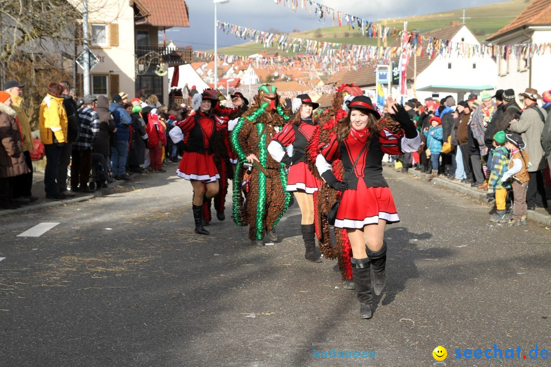 Narrentreffen - NV Kamelia: Tengen am Bodensee, 03.02.2013