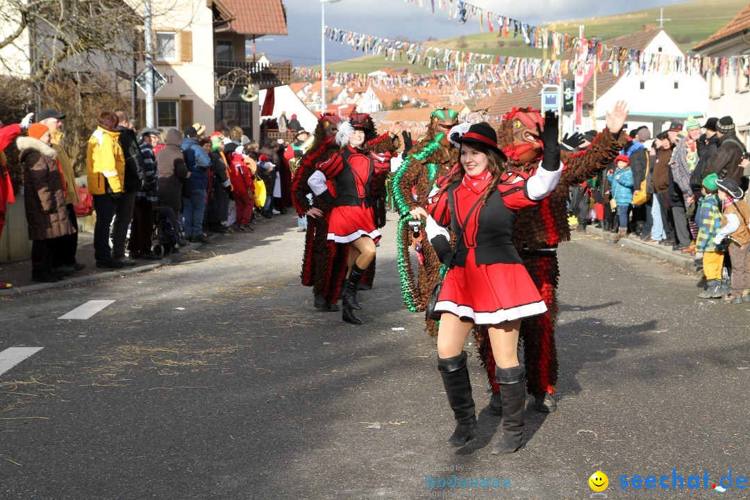 Narrentreffen - NV Kamelia: Tengen am Bodensee, 03.02.2013