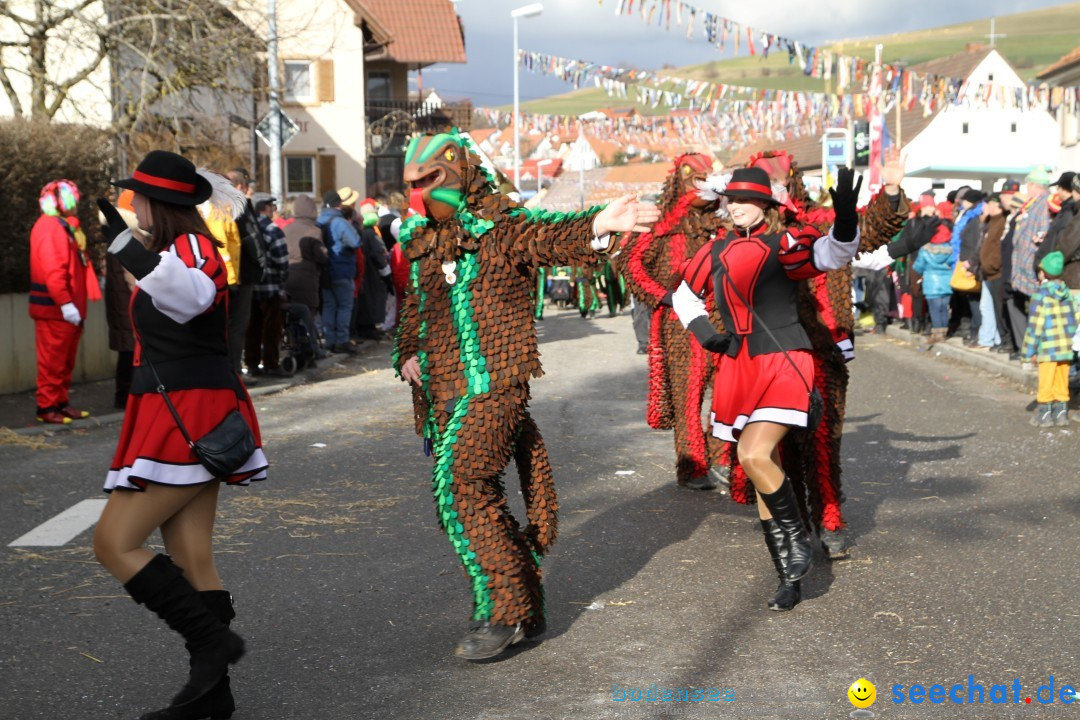 Narrentreffen - NV Kamelia: Tengen am Bodensee, 03.02.2013