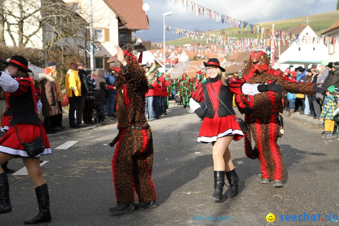 Narrentreffen - NV Kamelia: Tengen am Bodensee, 03.02.2013