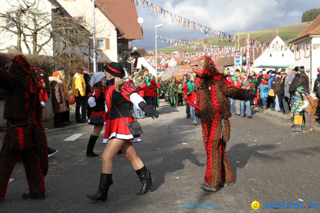 Narrentreffen - NV Kamelia: Tengen am Bodensee, 03.02.2013