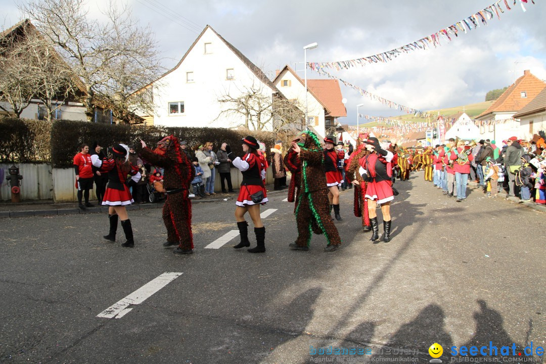 Narrentreffen - NV Kamelia: Tengen am Bodensee, 03.02.2013