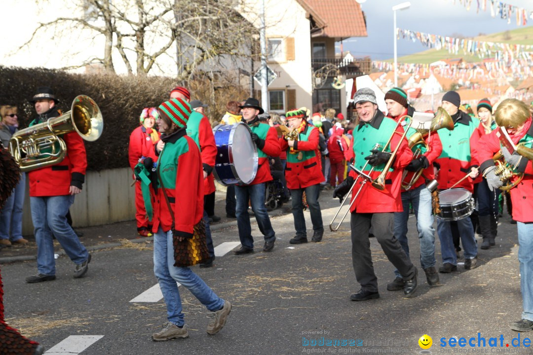 Narrentreffen - NV Kamelia: Tengen am Bodensee, 03.02.2013