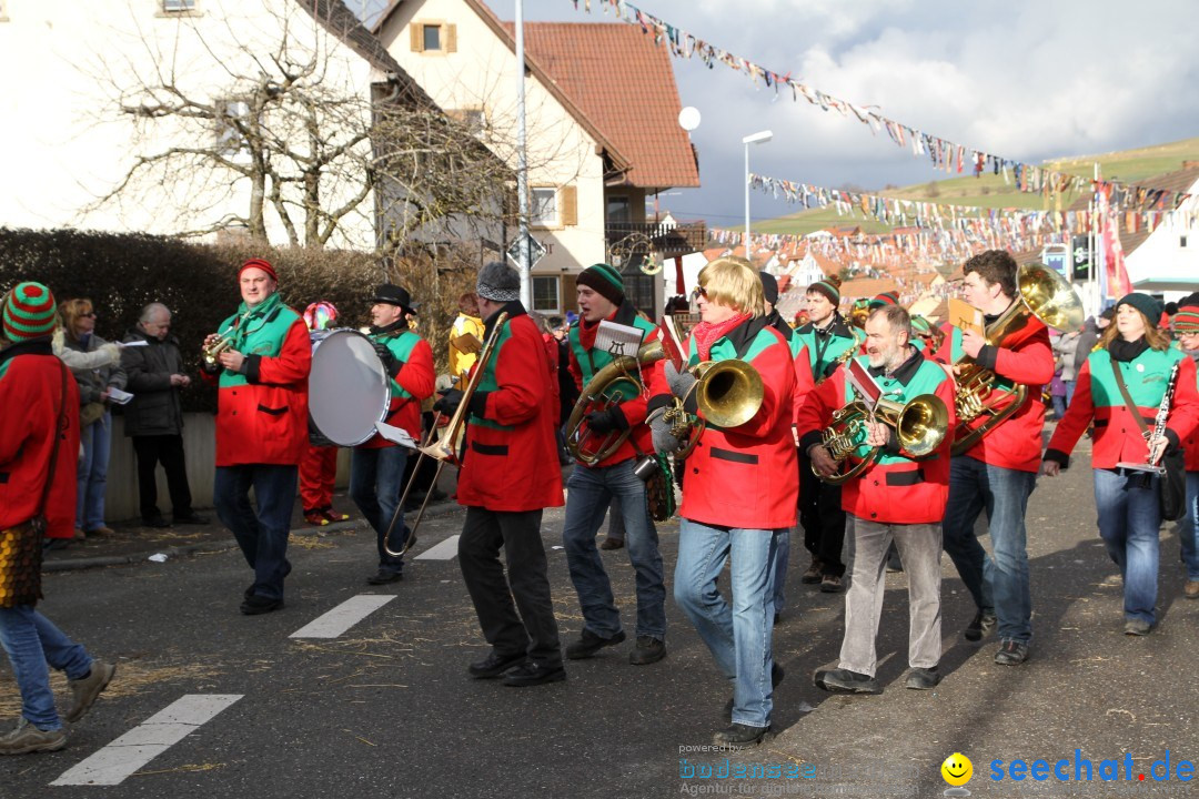 Narrentreffen - NV Kamelia: Tengen am Bodensee, 03.02.2013