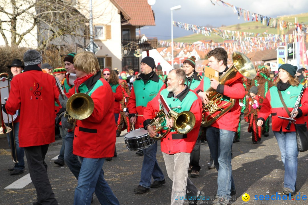 Narrentreffen - NV Kamelia: Tengen am Bodensee, 03.02.2013