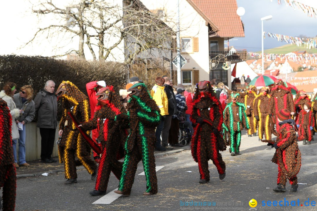 Narrentreffen - NV Kamelia: Tengen am Bodensee, 03.02.2013