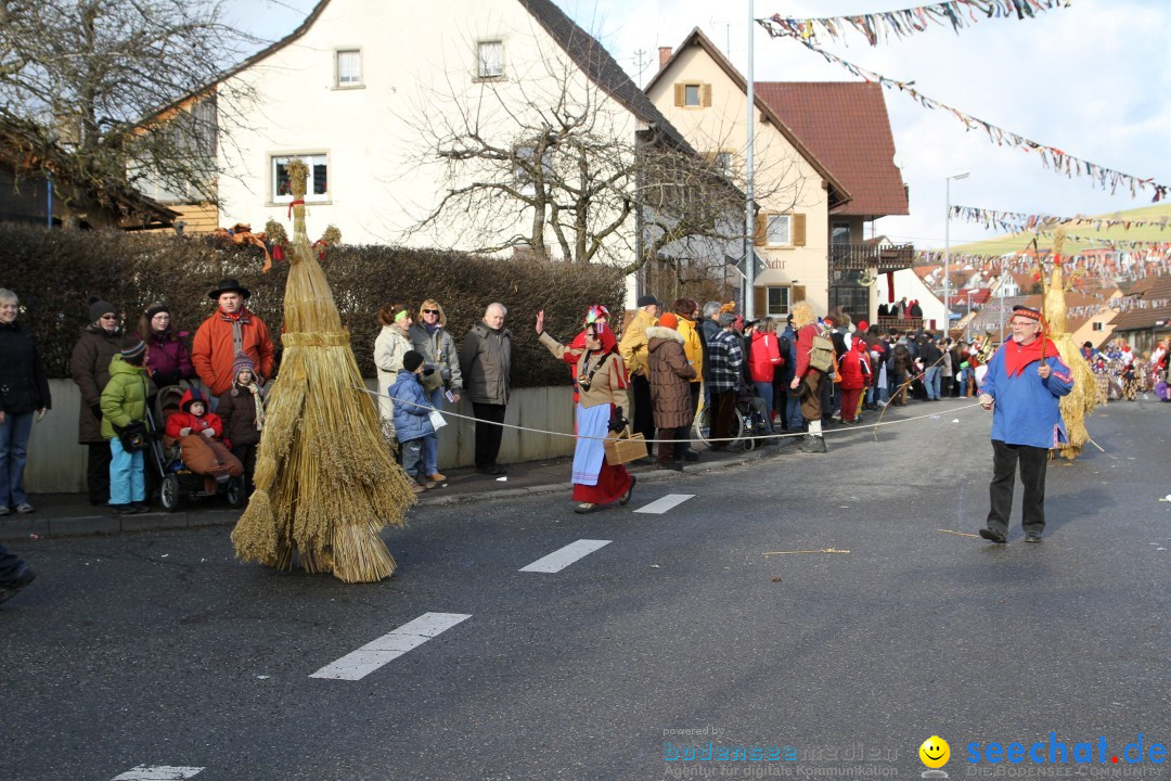 Narrentreffen - NV Kamelia: Tengen am Bodensee, 03.02.2013