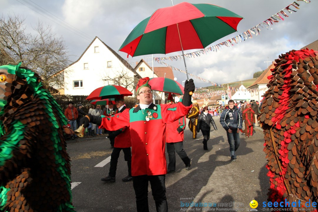 Narrentreffen - NV Kamelia: Tengen am Bodensee, 03.02.2013