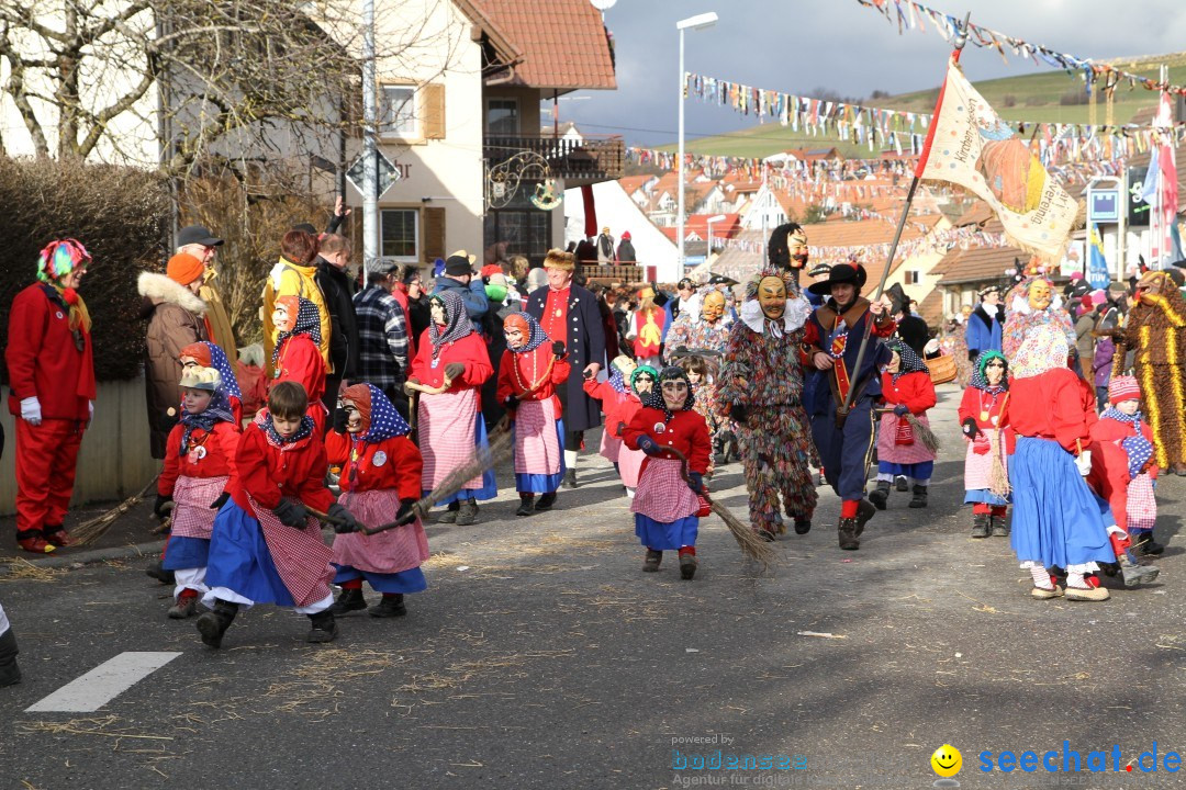 Narrentreffen - NV Kamelia: Tengen am Bodensee, 03.02.2013