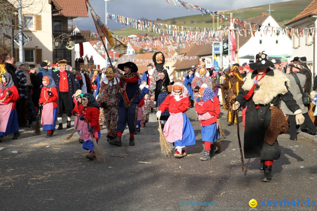 Narrentreffen - NV Kamelia: Tengen am Bodensee, 03.02.2013