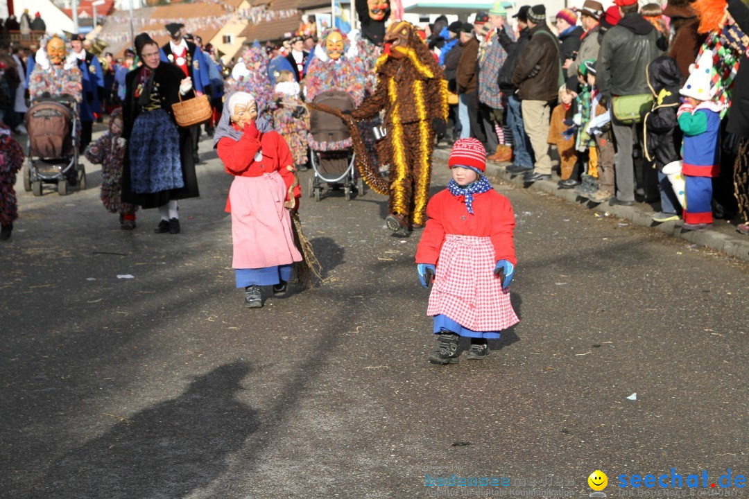 Narrentreffen - NV Kamelia: Tengen am Bodensee, 03.02.2013