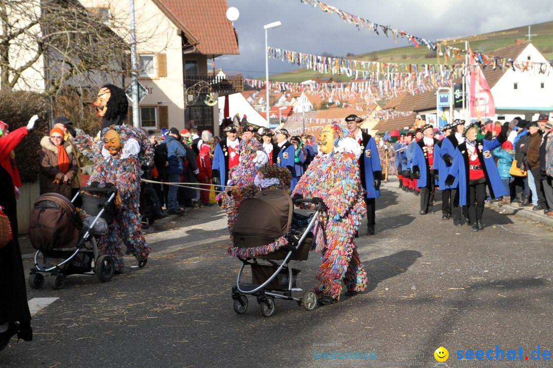 Narrentreffen - NV Kamelia: Tengen am Bodensee, 03.02.2013