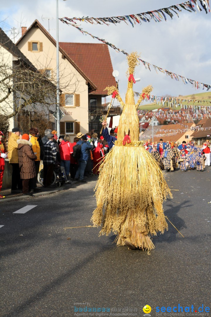 Narrentreffen - NV Kamelia: Tengen am Bodensee, 03.02.2013