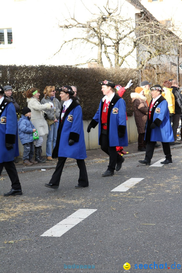 Narrentreffen - NV Kamelia: Tengen am Bodensee, 03.02.2013