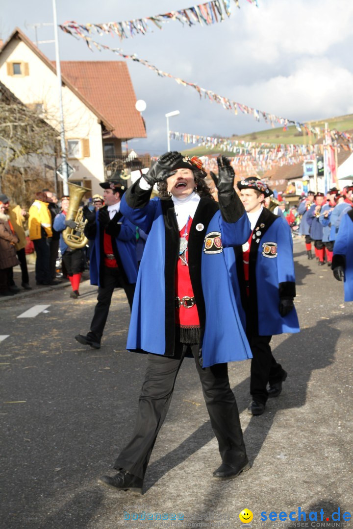 Narrentreffen - NV Kamelia: Tengen am Bodensee, 03.02.2013