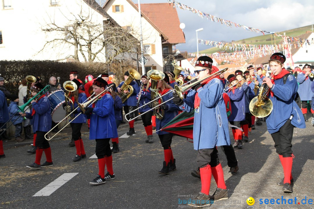 Narrentreffen - NV Kamelia: Tengen am Bodensee, 03.02.2013