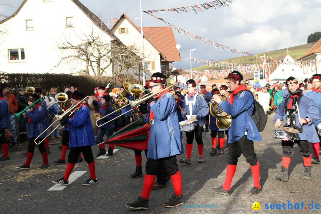 Narrentreffen - NV Kamelia: Tengen am Bodensee, 03.02.2013