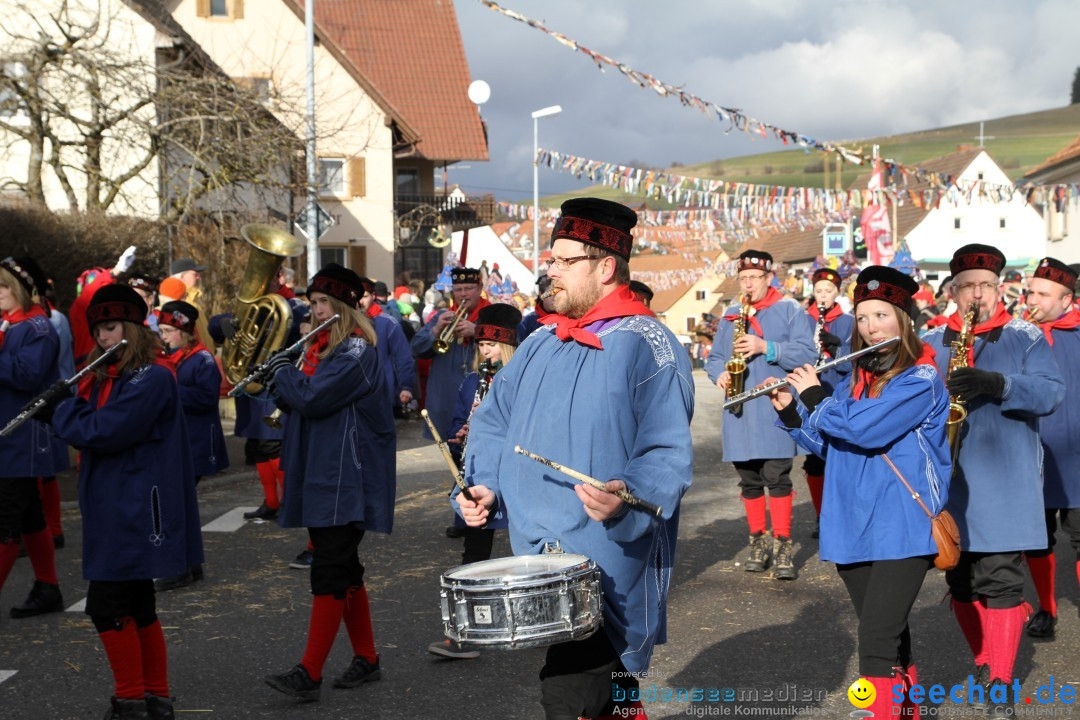 Narrentreffen - NV Kamelia: Tengen am Bodensee, 03.02.2013