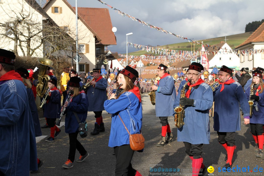 Narrentreffen - NV Kamelia: Tengen am Bodensee, 03.02.2013