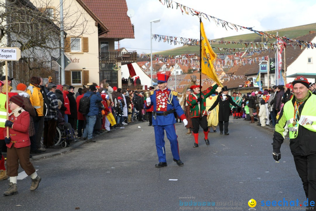 Narrentreffen - NV Kamelia: Tengen am Bodensee, 03.02.2013