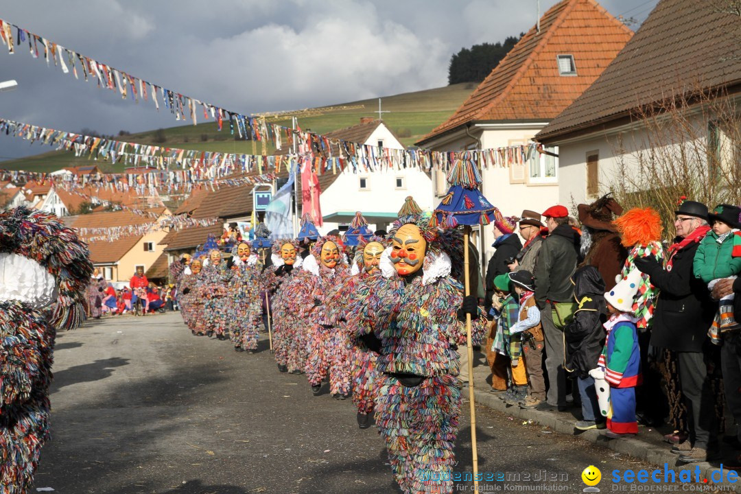 Narrentreffen - NV Kamelia: Tengen am Bodensee, 03.02.2013