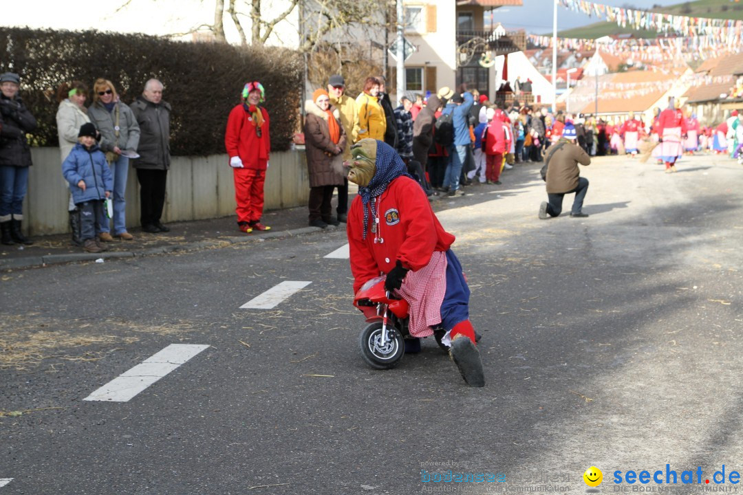 Narrentreffen - NV Kamelia: Tengen am Bodensee, 03.02.2013