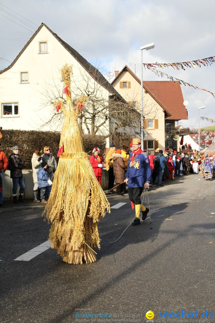 Narrentreffen - NV Kamelia: Tengen am Bodensee, 03.02.2013