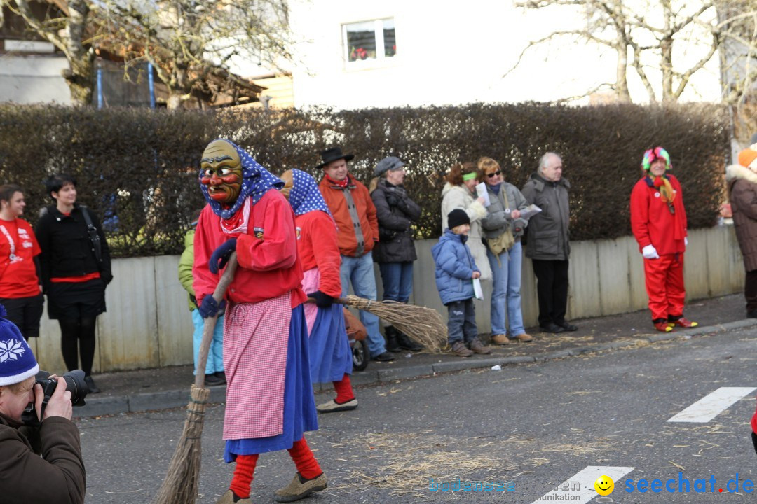 Narrentreffen - NV Kamelia: Tengen am Bodensee, 03.02.2013