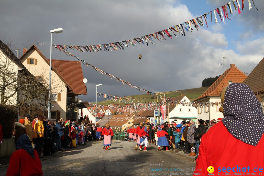 Narrentreffen - NV Kamelia: Tengen am Bodensee, 03.02.2013