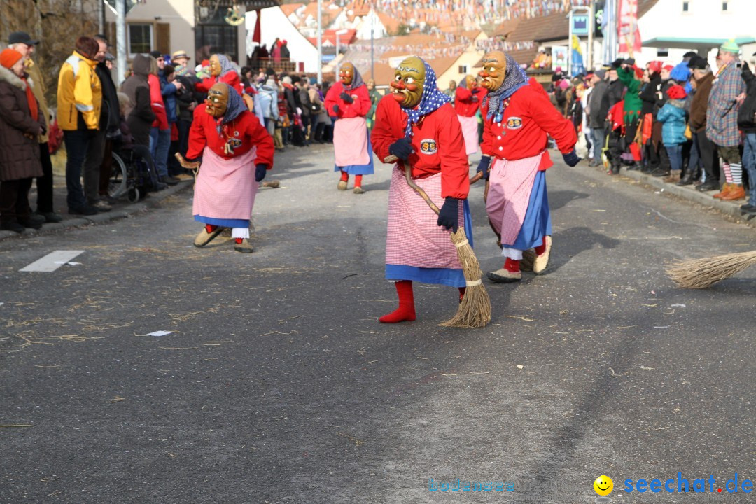 Narrentreffen - NV Kamelia: Tengen am Bodensee, 03.02.2013