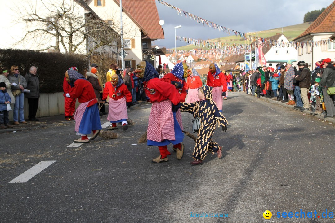 Narrentreffen - NV Kamelia: Tengen am Bodensee, 03.02.2013