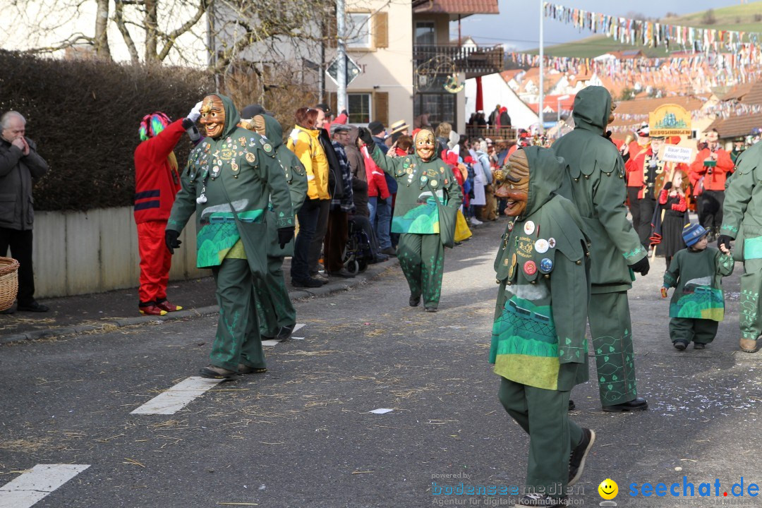 Narrentreffen - NV Kamelia: Tengen am Bodensee, 03.02.2013