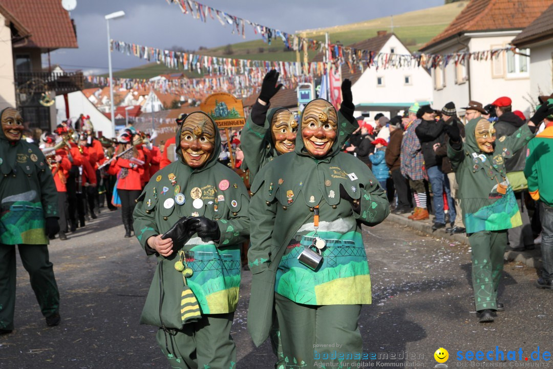 Narrentreffen - NV Kamelia: Tengen am Bodensee, 03.02.2013