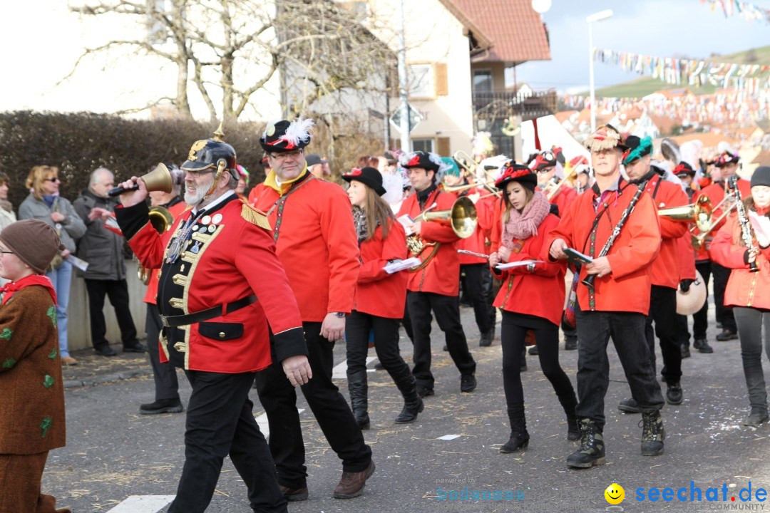 Narrentreffen - NV Kamelia: Tengen am Bodensee, 03.02.2013