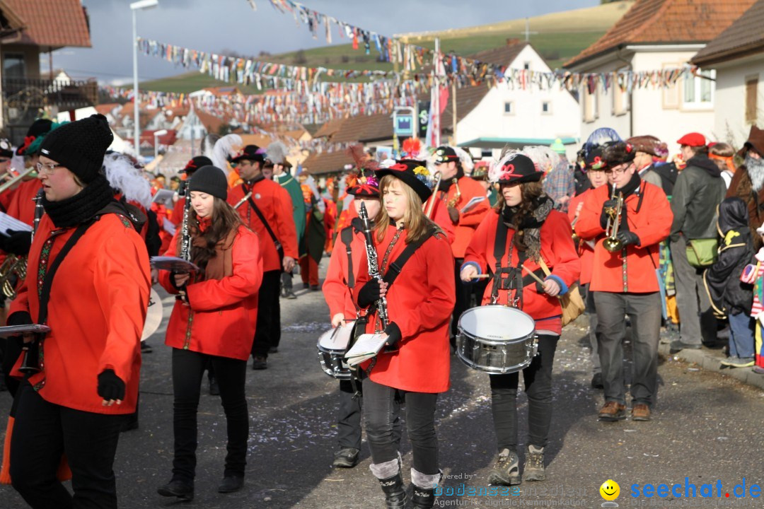 Narrentreffen - NV Kamelia: Tengen am Bodensee, 03.02.2013