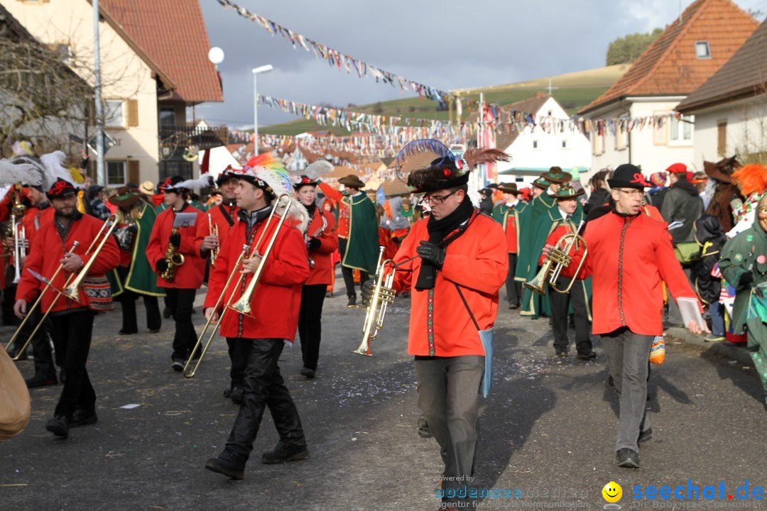 Narrentreffen - NV Kamelia: Tengen am Bodensee, 03.02.2013