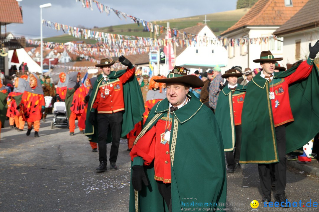 Narrentreffen - NV Kamelia: Tengen am Bodensee, 03.02.2013