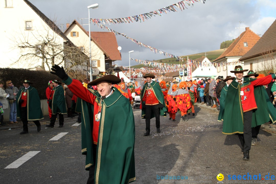 Narrentreffen - NV Kamelia: Tengen am Bodensee, 03.02.2013