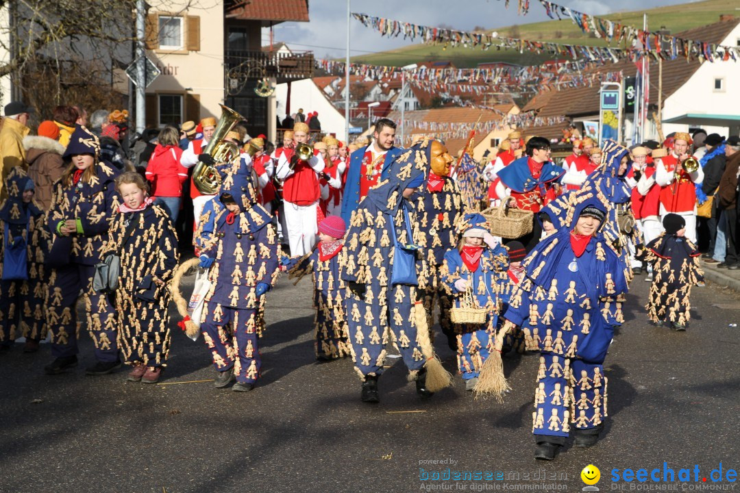 Narrentreffen - NV Kamelia: Tengen am Bodensee, 03.02.2013