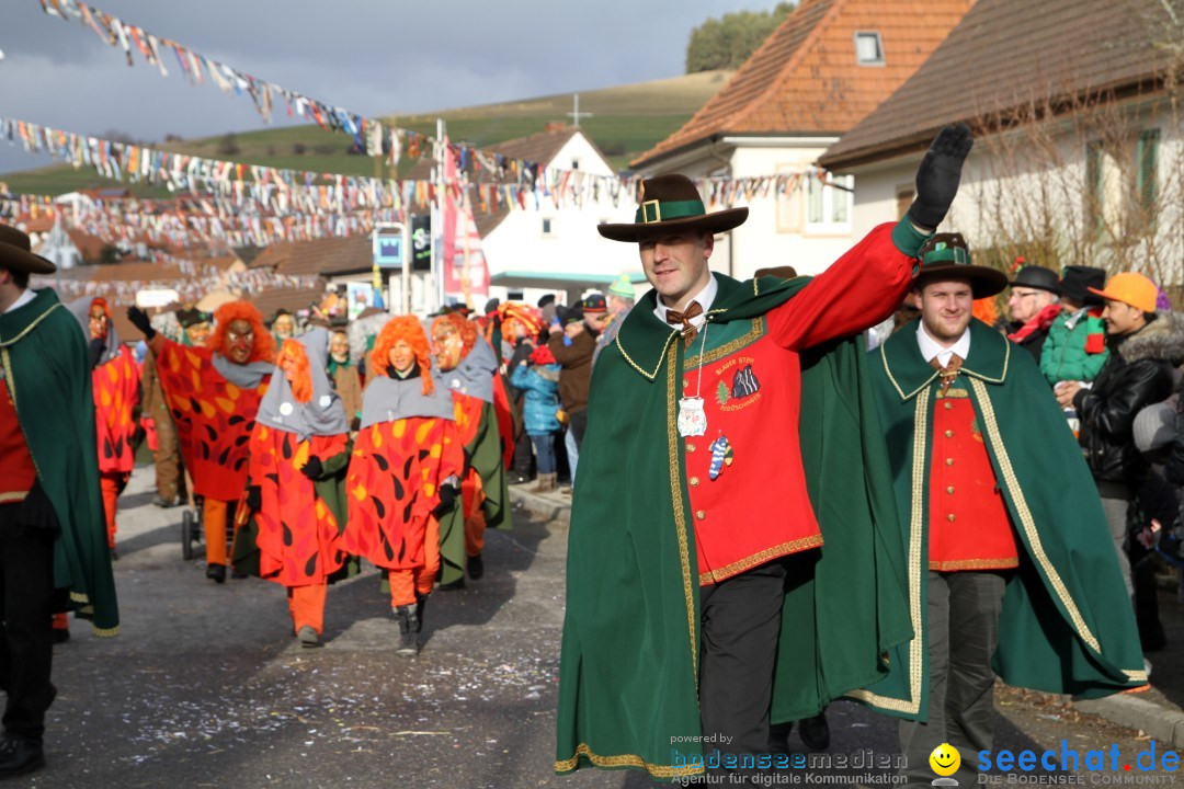 Narrentreffen - NV Kamelia: Tengen am Bodensee, 03.02.2013