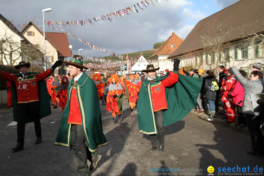 Narrentreffen - NV Kamelia: Tengen am Bodensee, 03.02.2013