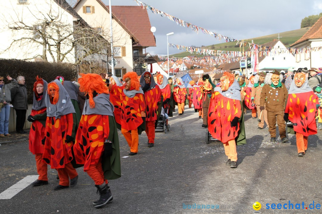 Narrentreffen - NV Kamelia: Tengen am Bodensee, 03.02.2013