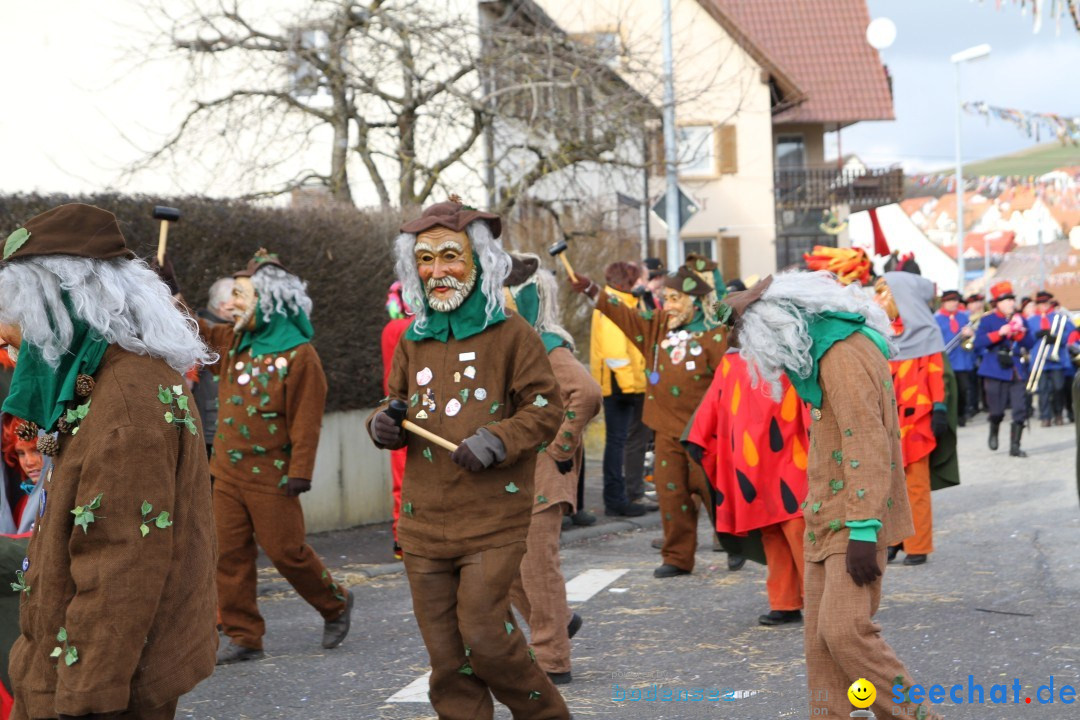 Narrentreffen - NV Kamelia: Tengen am Bodensee, 03.02.2013