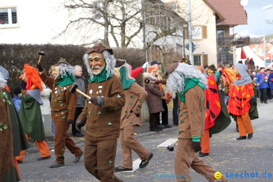 Narrentreffen - NV Kamelia: Tengen am Bodensee, 03.02.2013