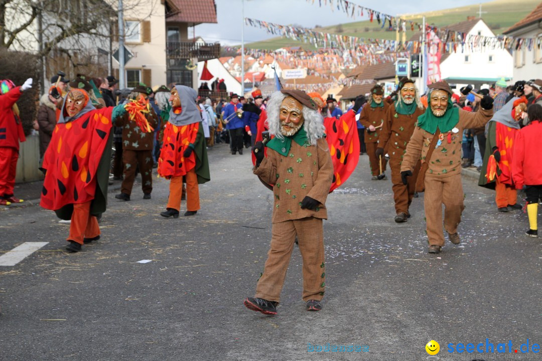 Narrentreffen - NV Kamelia: Tengen am Bodensee, 03.02.2013