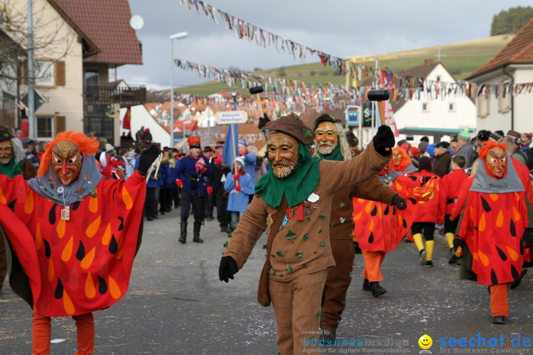 Narrentreffen - NV Kamelia: Tengen am Bodensee, 03.02.2013