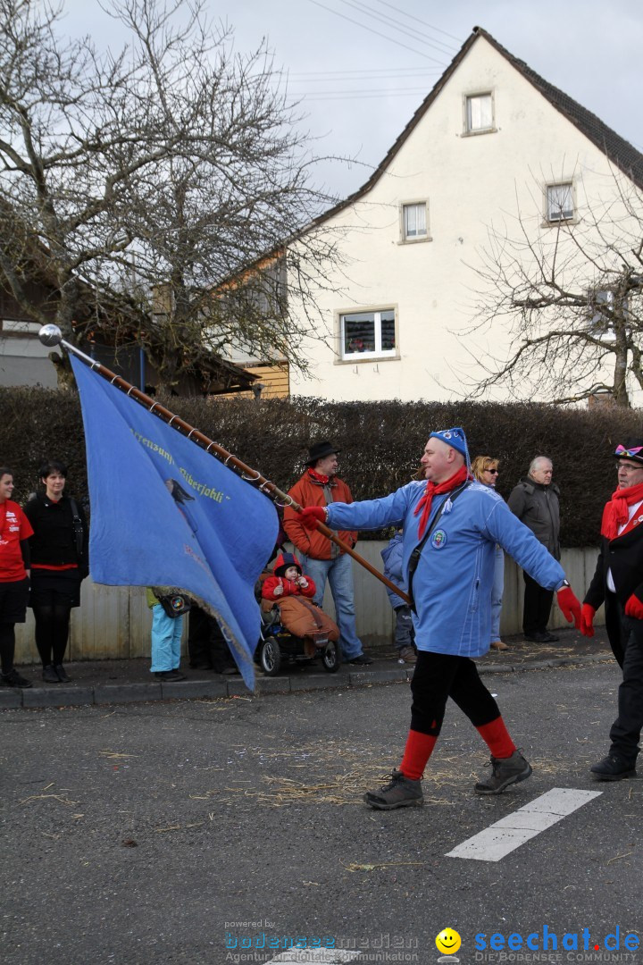 Narrentreffen - NV Kamelia: Tengen am Bodensee, 03.02.2013