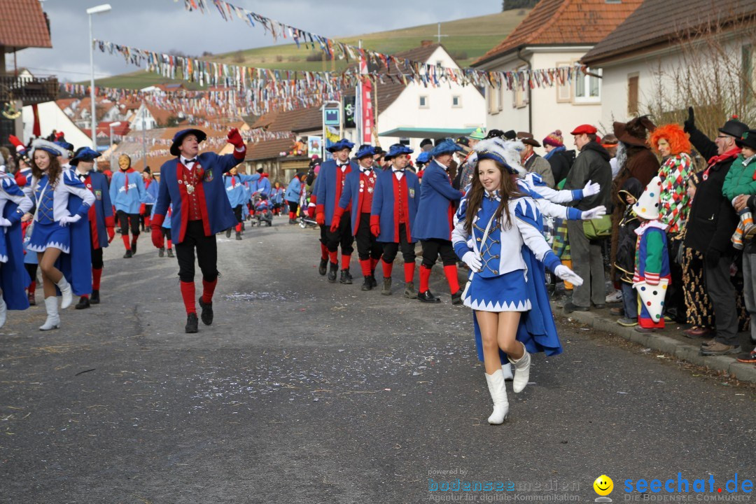 Narrentreffen - NV Kamelia: Tengen am Bodensee, 03.02.2013