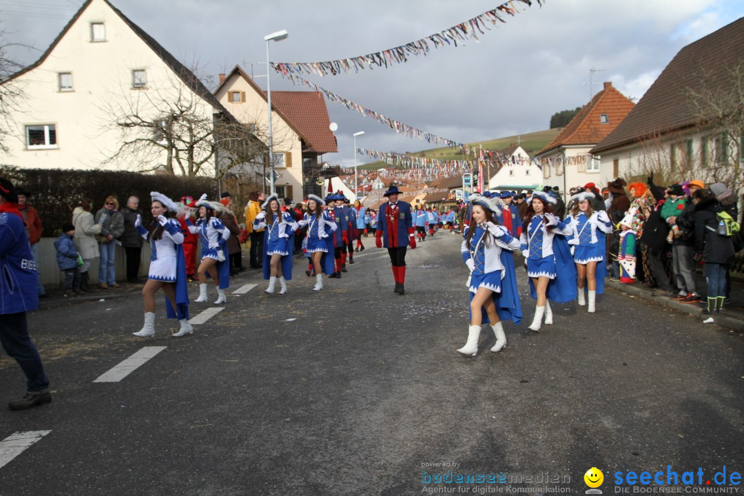 Narrentreffen - NV Kamelia: Tengen am Bodensee, 03.02.2013