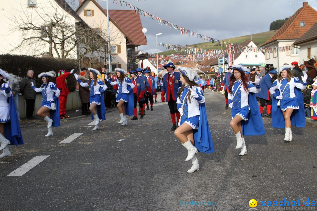 Narrentreffen - NV Kamelia: Tengen am Bodensee, 03.02.2013